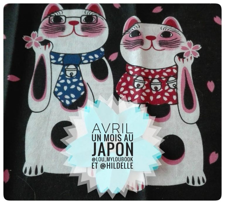 Journal de Bord de la semaine passée 1 Mois au Japon 2020 MylouBook